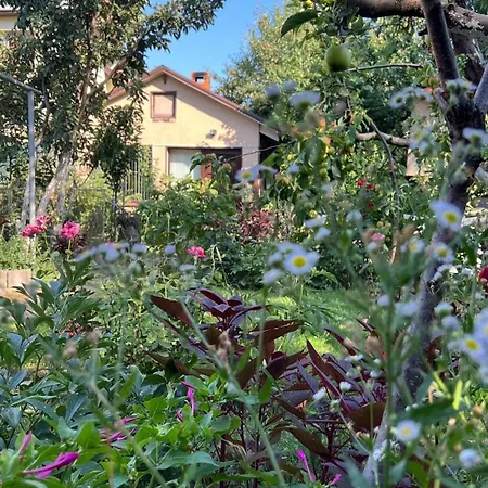 Ferienhaus House On Fontan Odessa