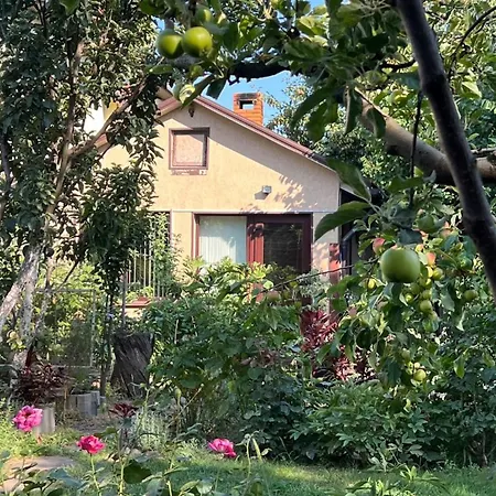 House On Fontan Oděsa
