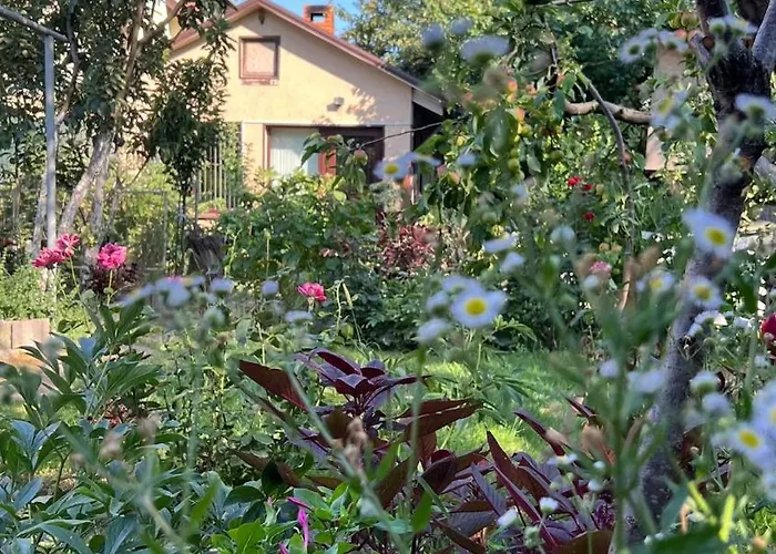 Ferienhaus House On Fontan Odessa