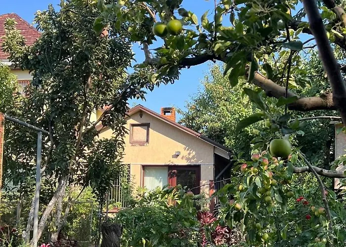 Ferienhaus House On Fontan Odessa