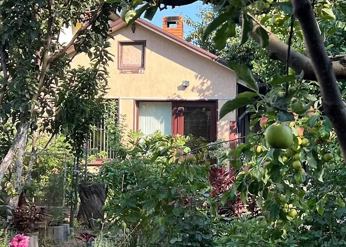 House On Fontan Odessa